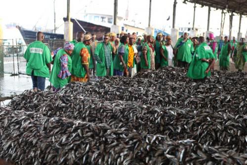 23/09/15 La Côte d’Ivoire achève la première phase de la modernisation du port de pêche d’Abidjan